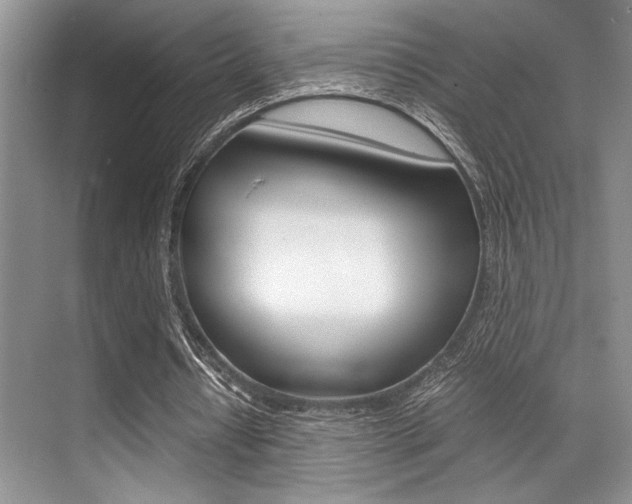 X0000071950434200607071043