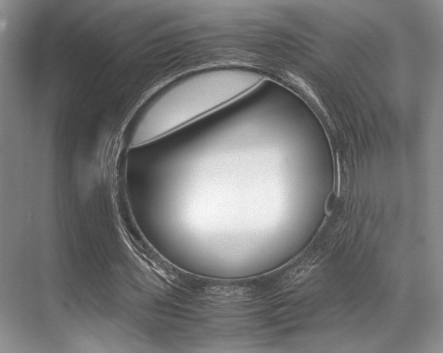 X0000071950435200607071043