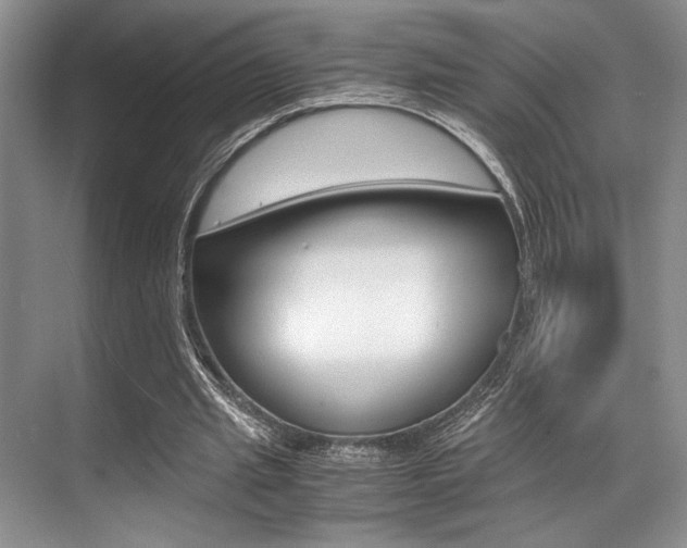 X0000071950437200607071043