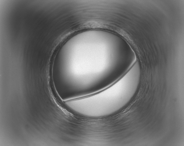 X0000071950438200607071043