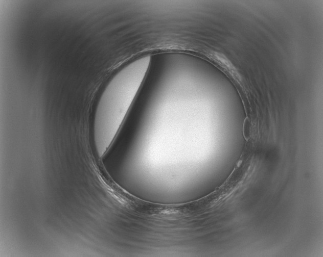 X0000071950441200607071043
