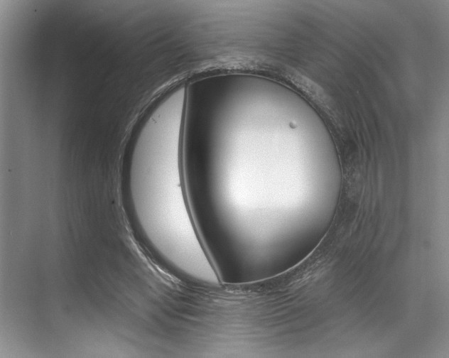 X0000071950442200607071043
