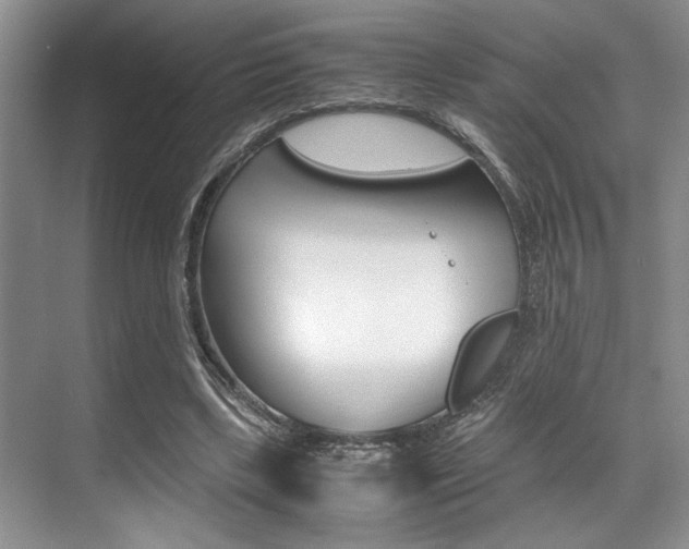 X0000071950443200607071043