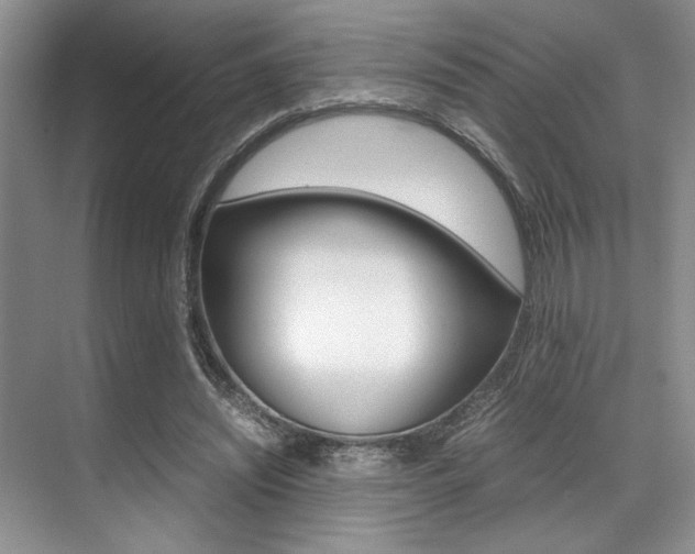 X0000071950444200607071043
