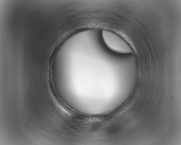 X0000071950445200607071043