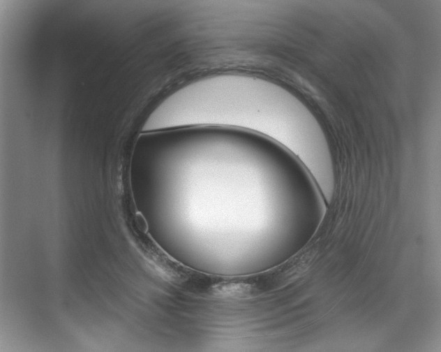 X0000071950452200607071043