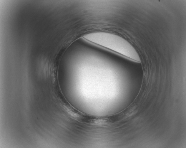 X0000071950462200607071043