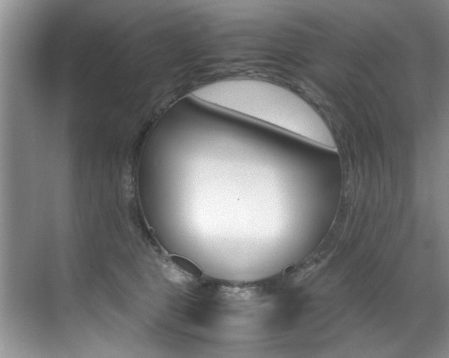 X0000071950469200607071044