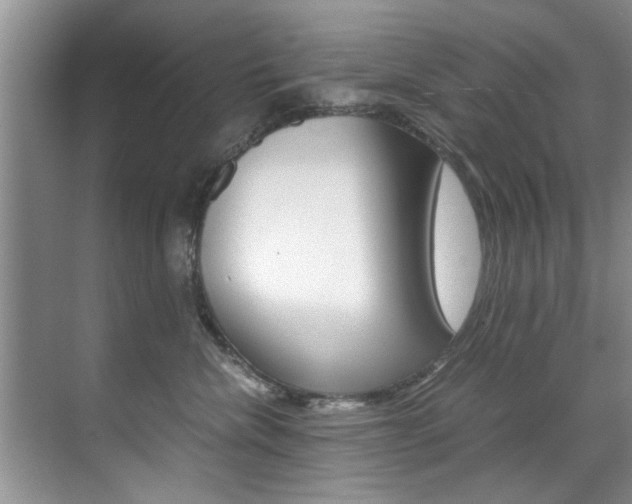 X0000071950476200607071044