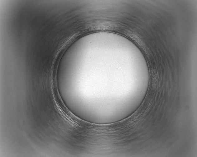 X0000071950482200607071043