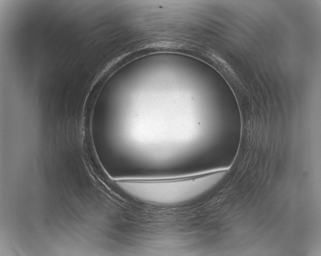 X0000071950484200607071043