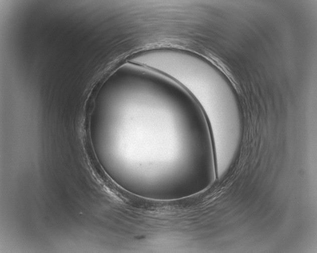 X0000071950485200607071043