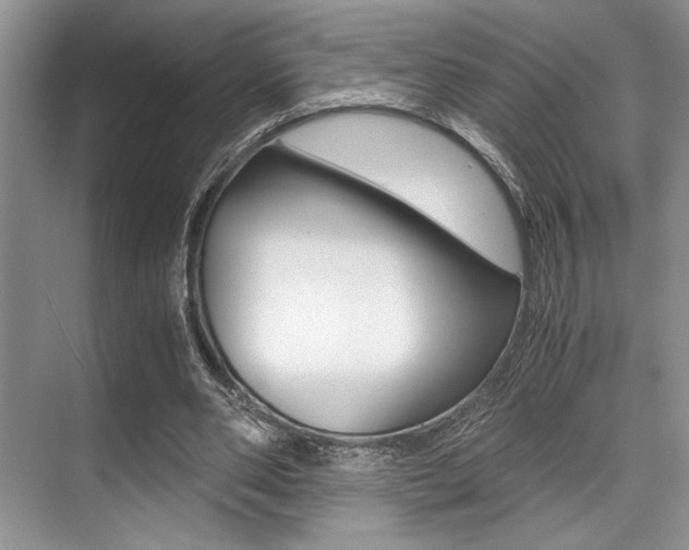 X0000071950486200607071043