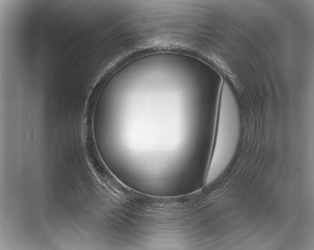 X0000071950488200607071043