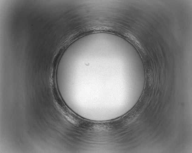 X0000071950490200607071043