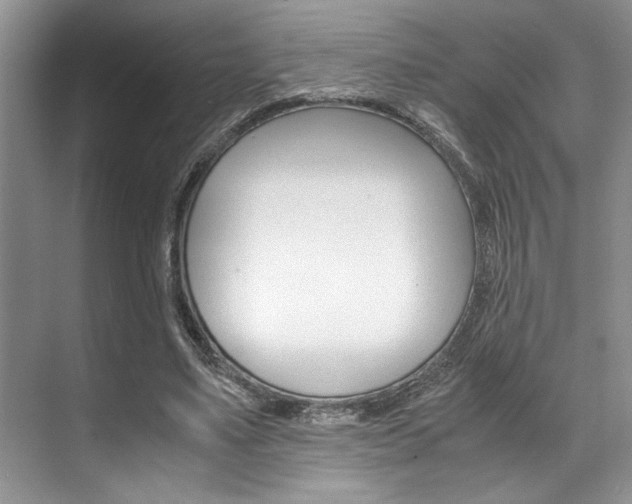 X0000071950491200607071043