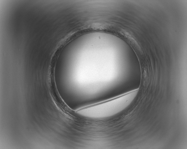 X0000071950492200607071043