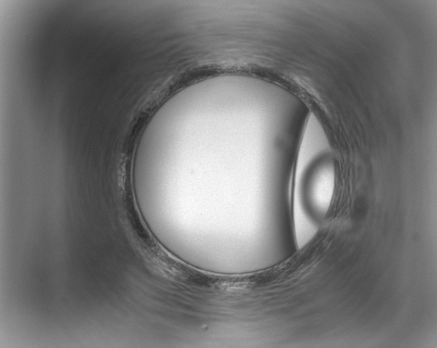 X0000071950495200607071043