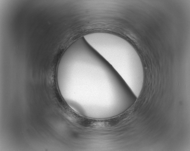 X0000071950499200607071043