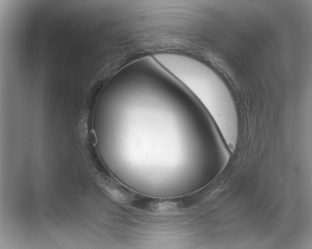 X0000071950501200607071043