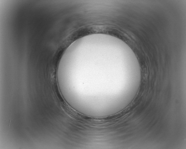 X0000071950507200607071042