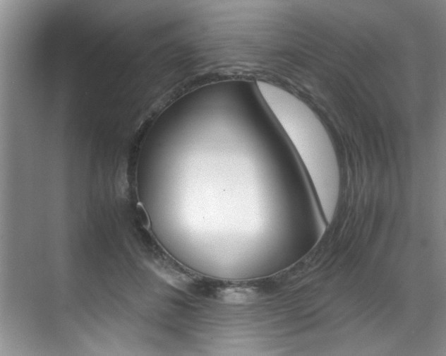X0000071950508200607071042