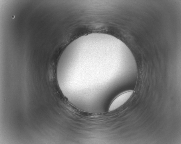 X0000071950515200607071042