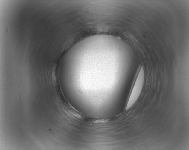 X0000071950516200607071042