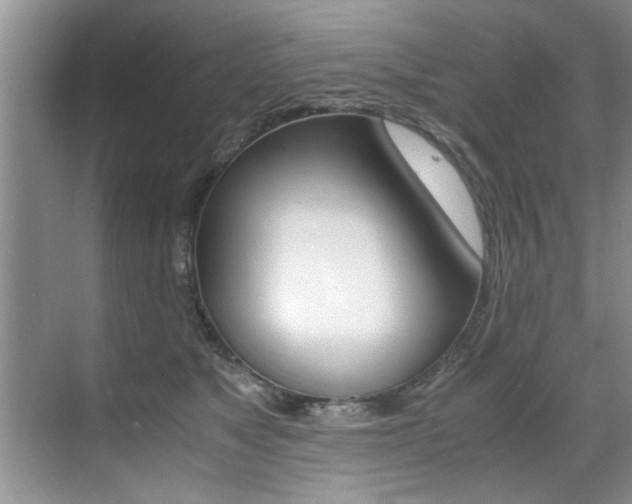 X0000071950517200607071042