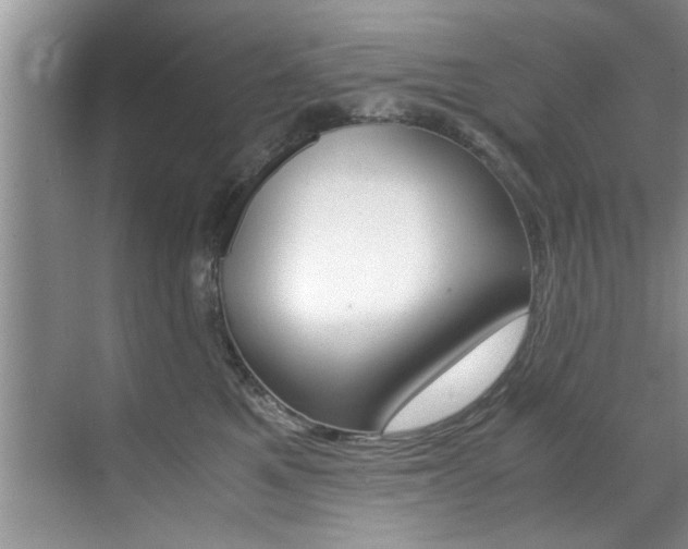 X0000071950521200607071042