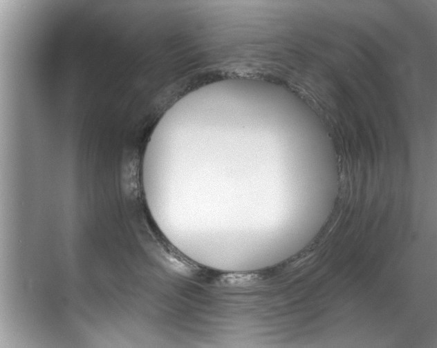 X0000071950526200607071042