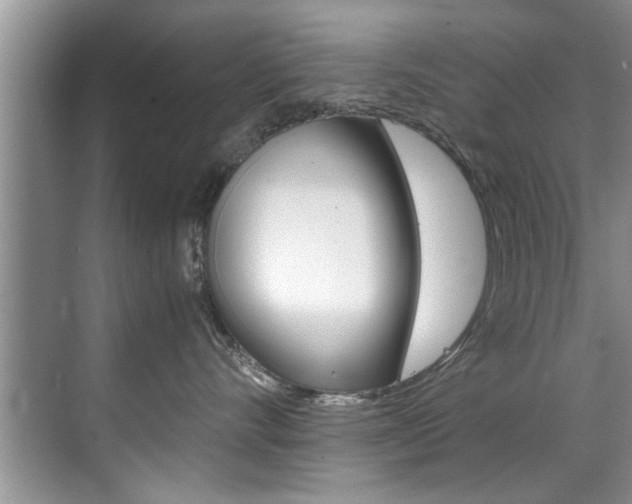 X0000071950528200607071042