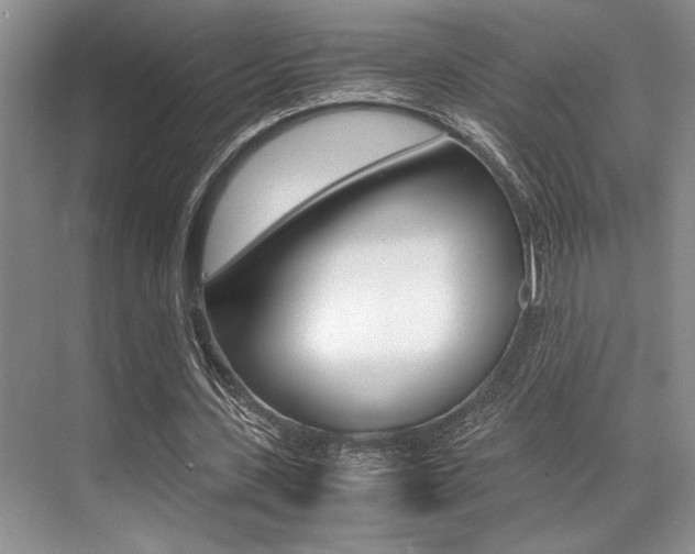 X0000071950531200607071041