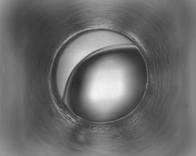 X0000071950532200607071041