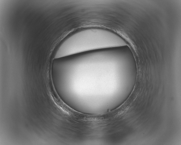 X0000071950533200607071041