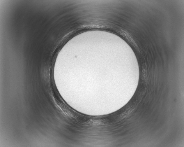 X0000071950534200607071041