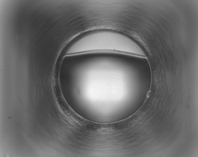 X0000071950536200607071041