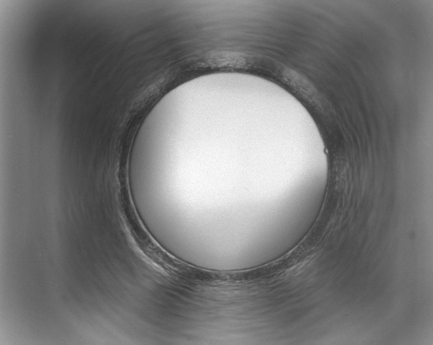 X0000071950538200607071041