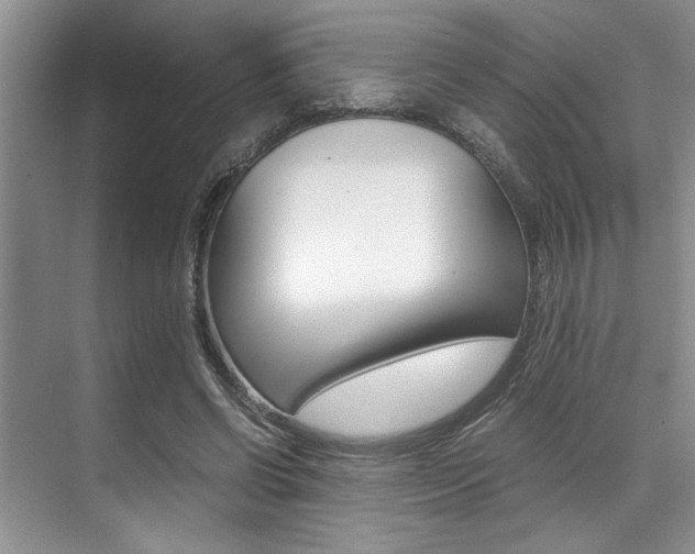 X0000071950542200607071042