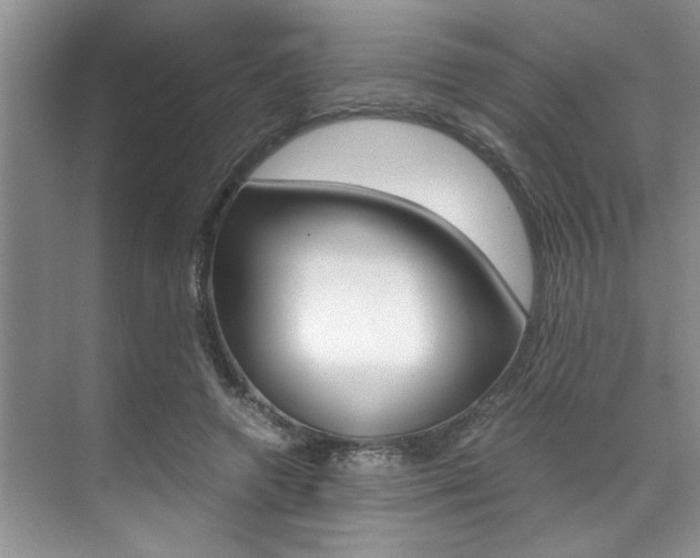 X0000071950546200607071042