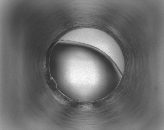 X0000071950548200607071042