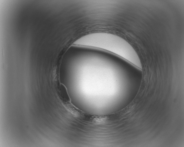 X0000071950560200607071042