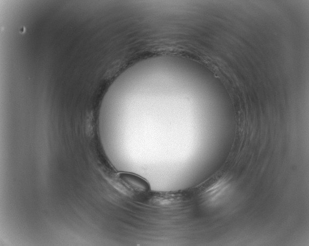 X0000071950563200607071042