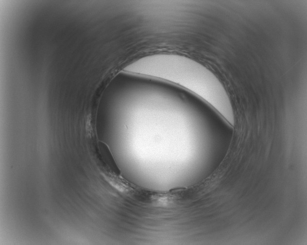 X0000071950564200607071042