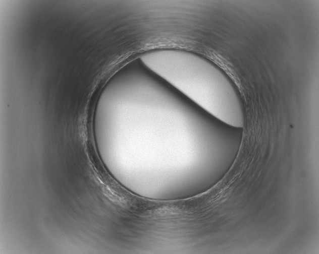 X0000071950578200607071041