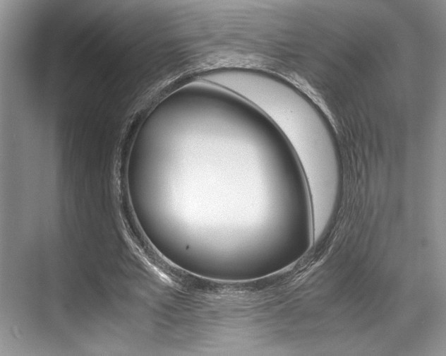 X0000071950581200607071041