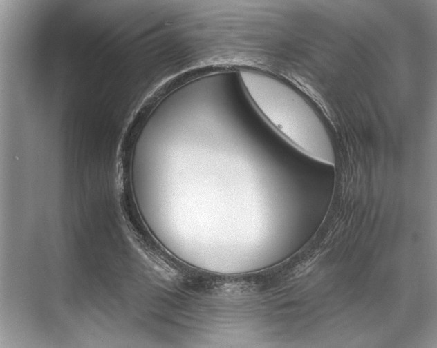 X0000071950584200607071041