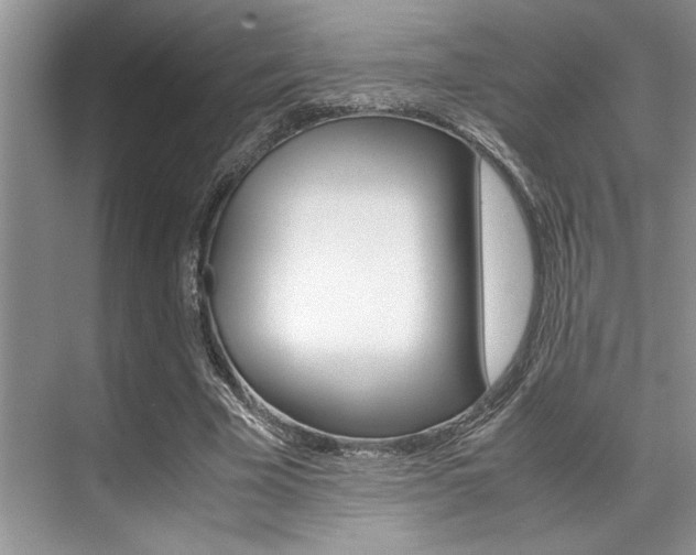 X0000071950585200607071041