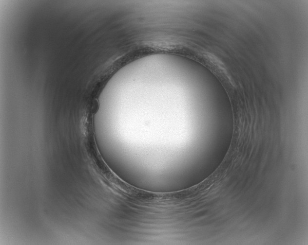 X0000071950596200607071041