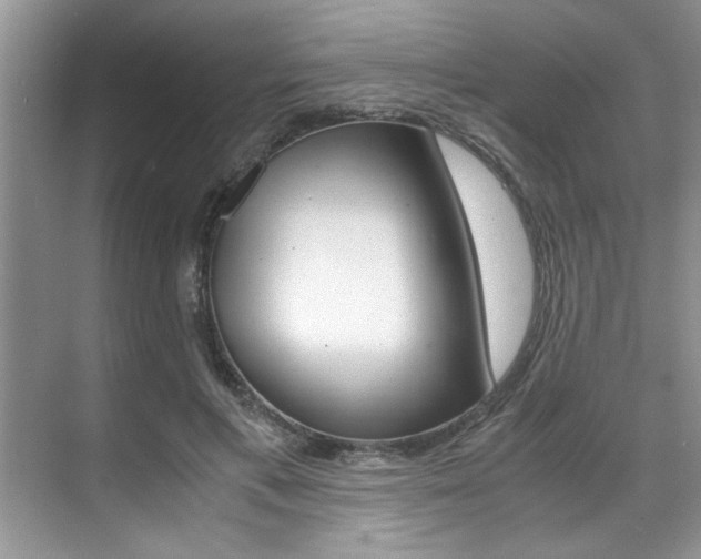 X0000071950597200607071041